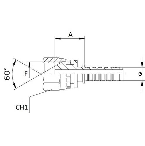 Threaded fitting Female Right to Press in 60th Ama