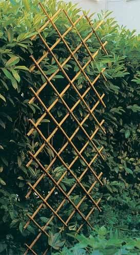 Traliccio Estensibile in Bamboo Verdelook